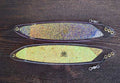 Hell Razor salmon trout Trolling dodger Wigglefin tackle