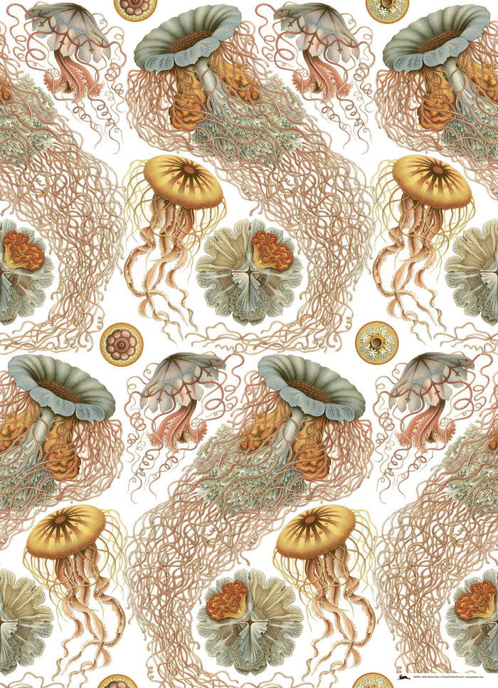 Art Forms In Nature Gift & Creative Paper Book Vol. 83
