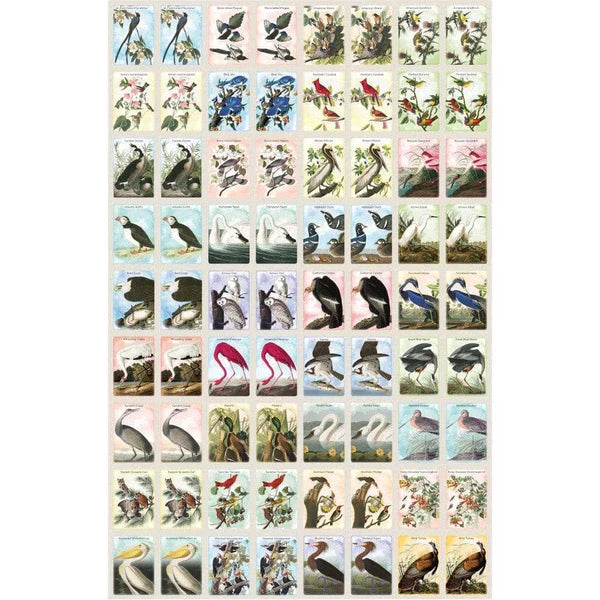 Audubon Memory Game