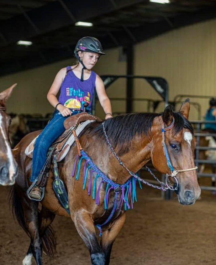 Average horse breast collar mule tape  blue and purple - Tiffanys Braided Tack LLC
