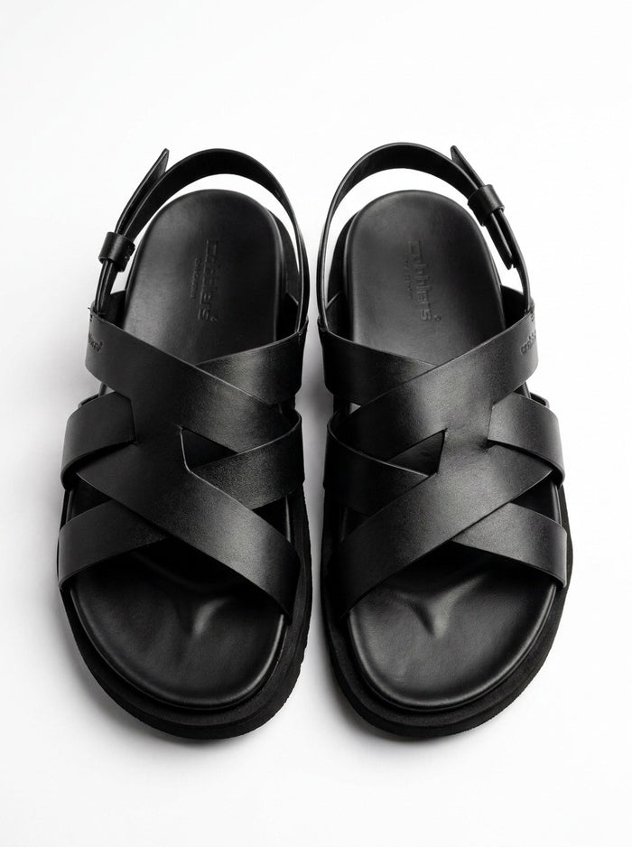 Black TD251103