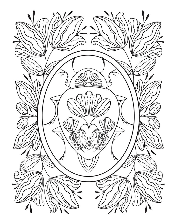 Boho Bugs Coloring Book Creative Haven