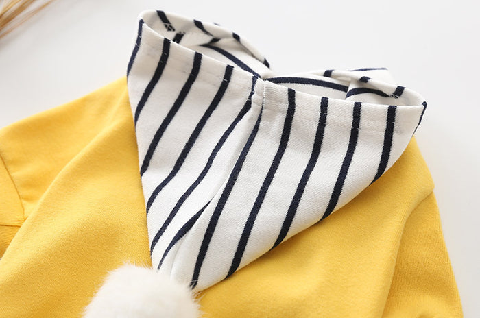 Bradley Dog Hoodie