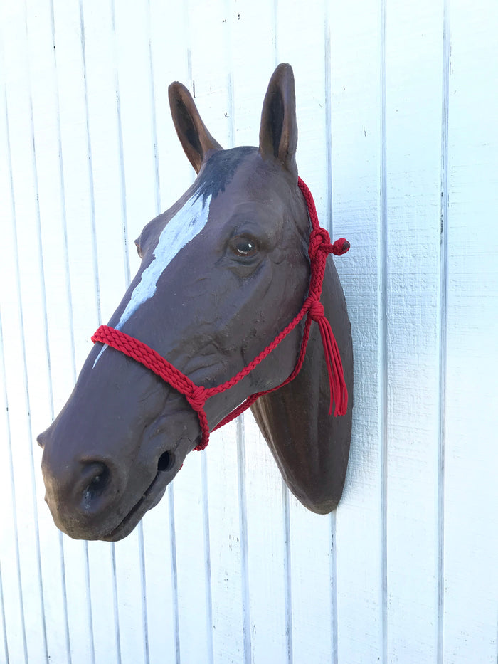 Braided horse halter with flat noseband - Tiffanys Braided Tack LLC
