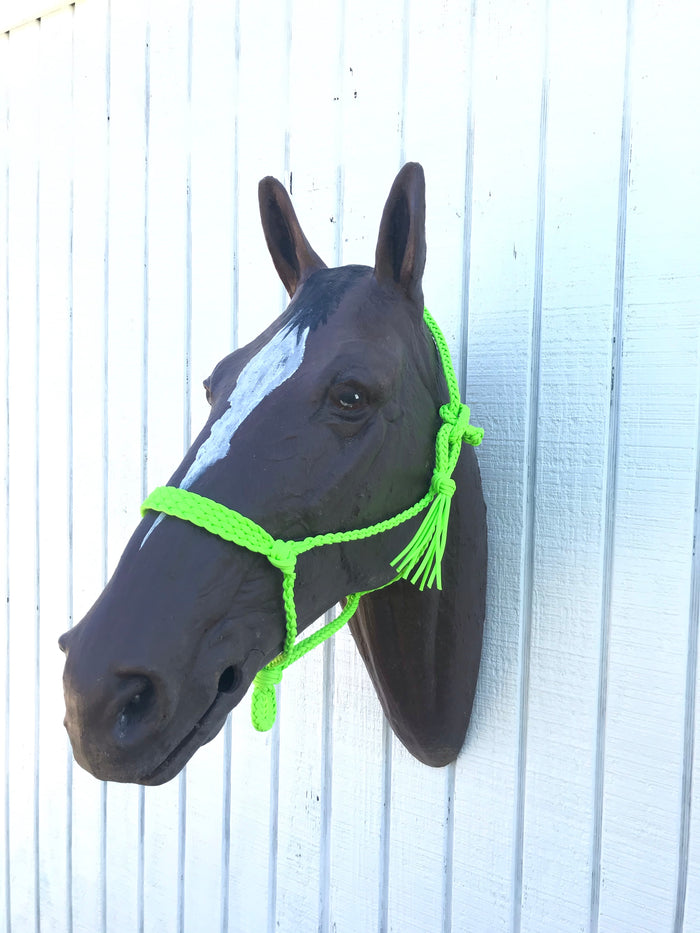 Braided horse halter - Tiffanys Braided Tack LLC