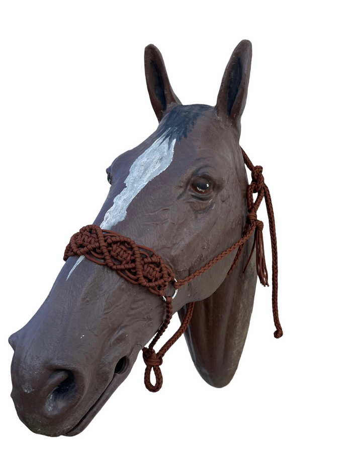 Braided horse halter - Tiffanys Braided Tack LLC