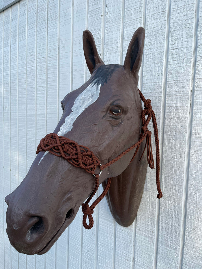 Braided horse halter - Tiffanys Braided Tack LLC
