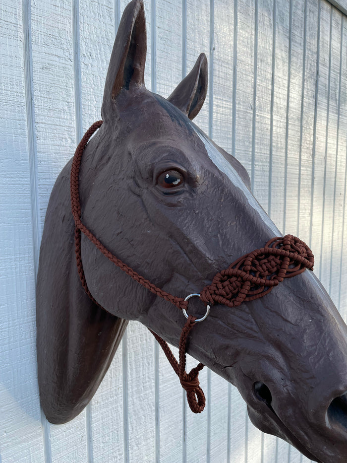 Braided horse halter - Tiffanys Braided Tack LLC