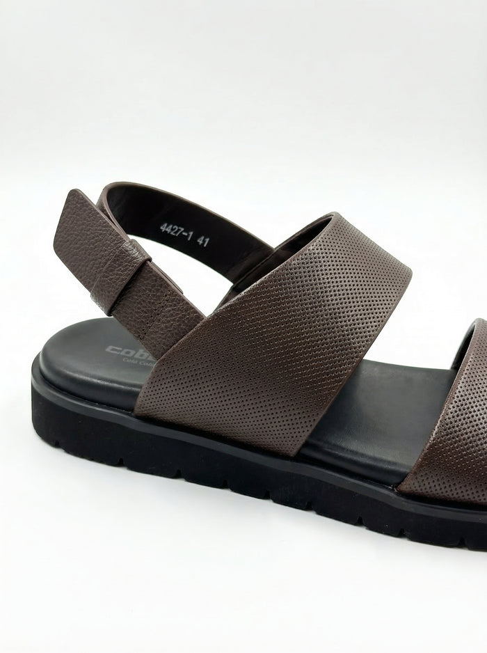 Brown 4427-1 Sandals