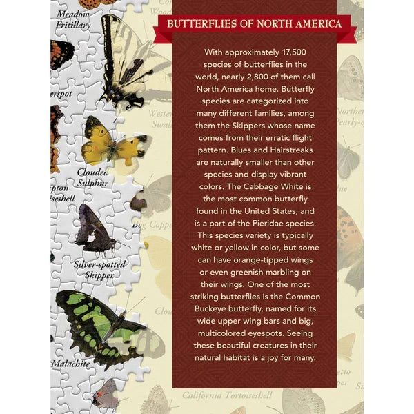 Butterflies of North America 1000pc Puzzle