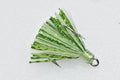 coho salmon peanut trolling fly