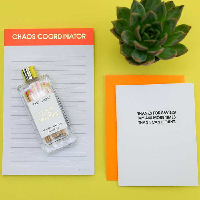 Chez Gagné - You're So Fucking Awesome - Safety Matches, Self-Care Gift
