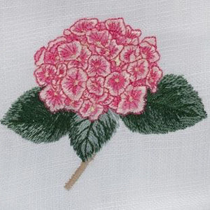 Hydrangea Too (Pink)