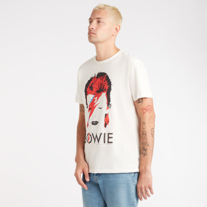 David Bowie T Shirt - Aladdin Sane Amplified