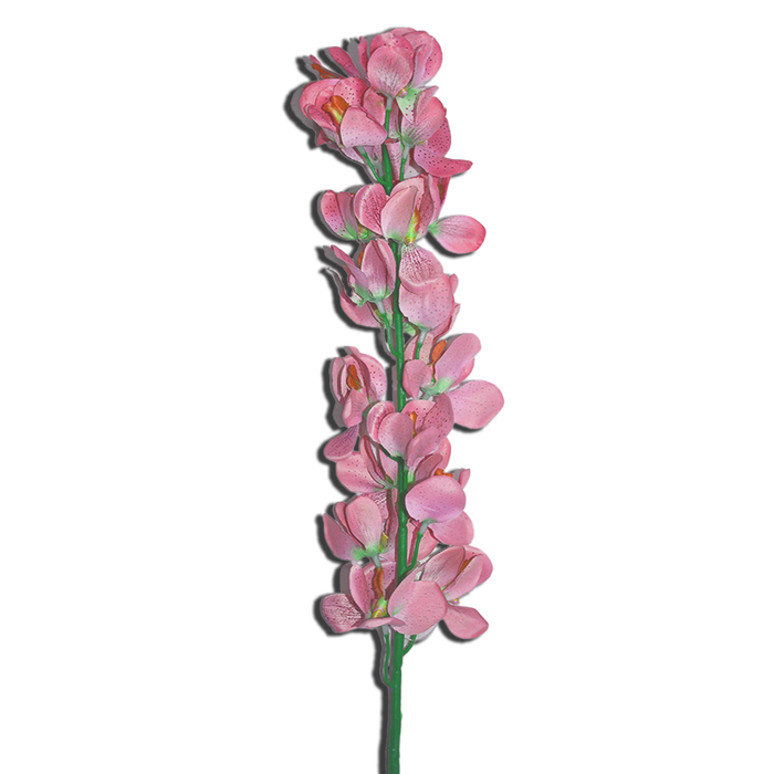 Decorative Orchid