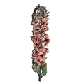 Delphenium Decorative Flower