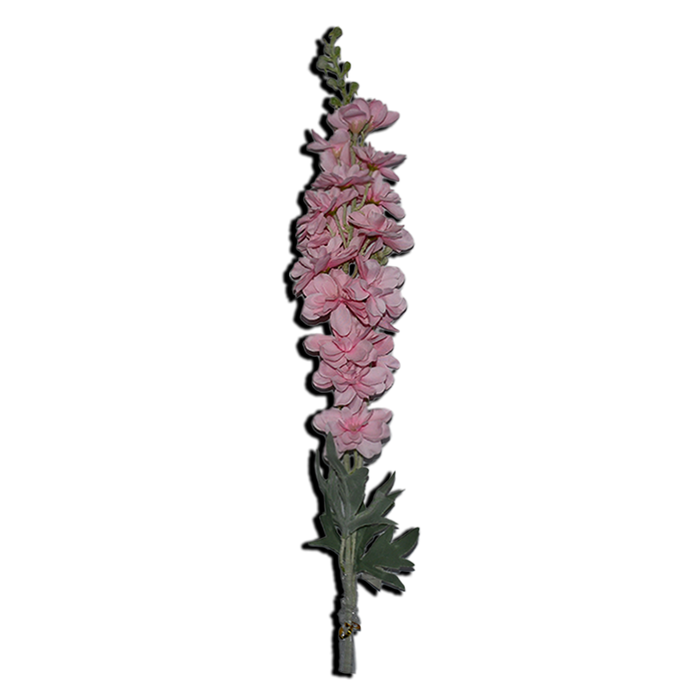 Delphenium Decorative Flower