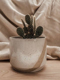 Dip Planter