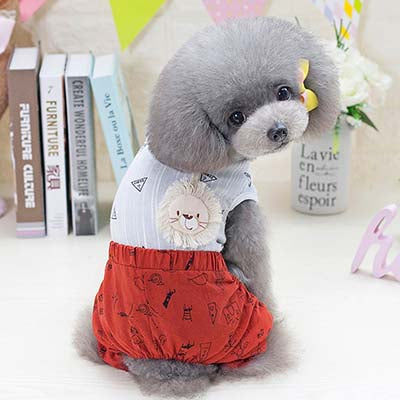Dora Spring & Summer Suit