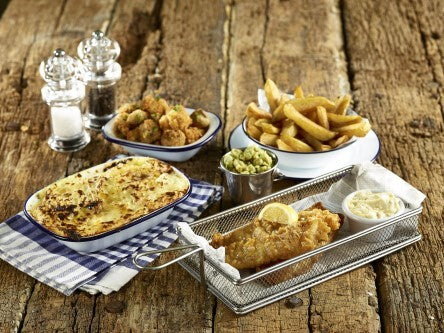 Enamel Tableware Rectangle Pie Dish 20cm x 15cm x 4.5cm