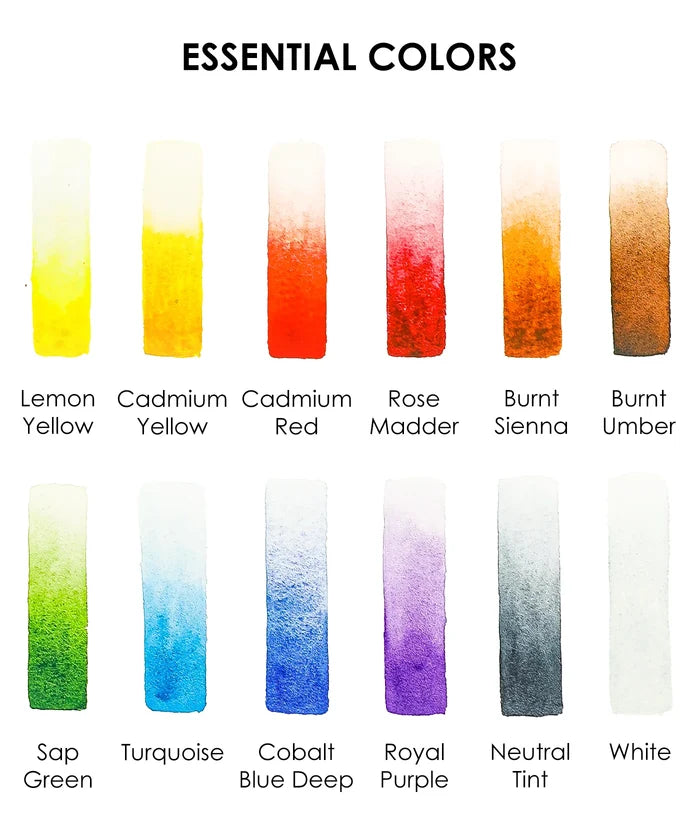 Essential Watercolor Set of 12 with Brush