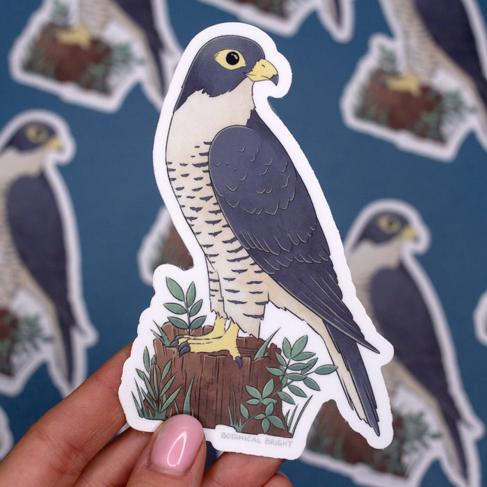 Falcon Bird Waterproof Vinyl Sticker