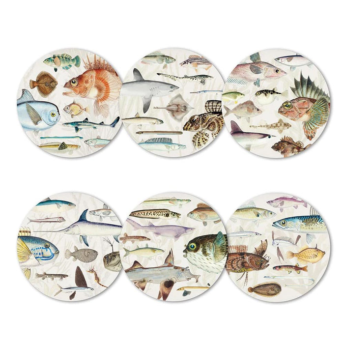 100% New Zealand Fishes Of NZ Placemat Set/6 | Koop.co.nz