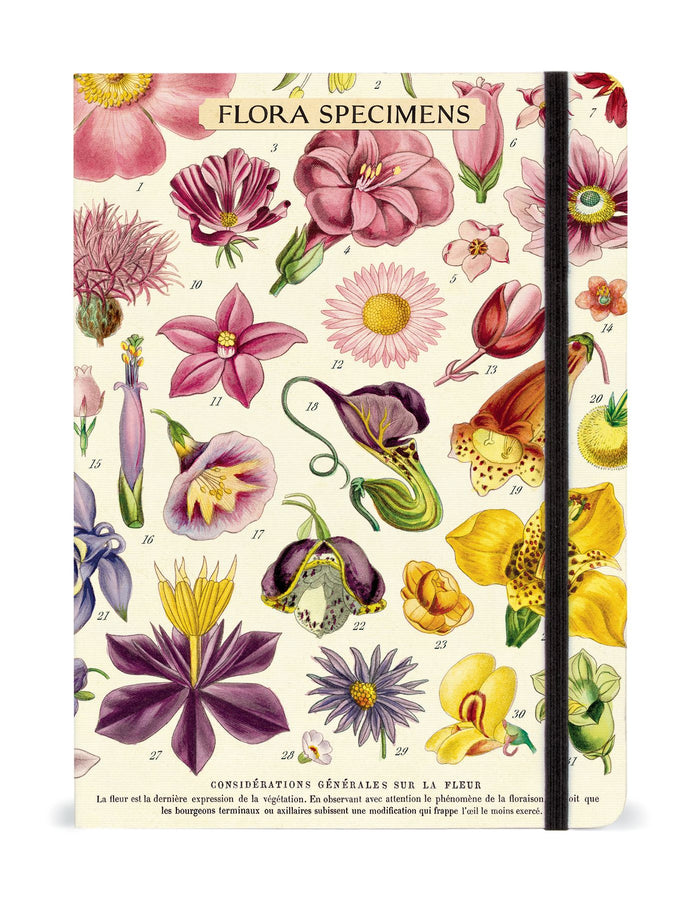 Flora Specimens Large Notebook