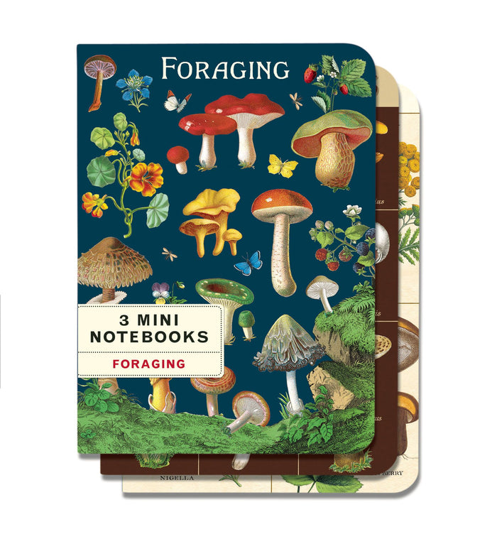 Foraging 3 Mini Notebooks