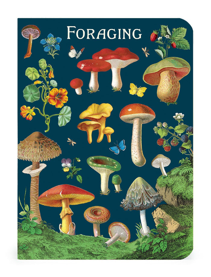 Foraging 3 Mini Notebooks