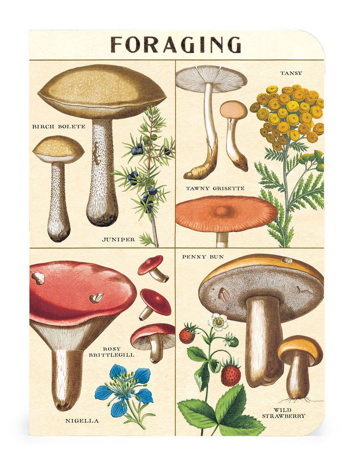 Foraging 3 Mini Notebooks