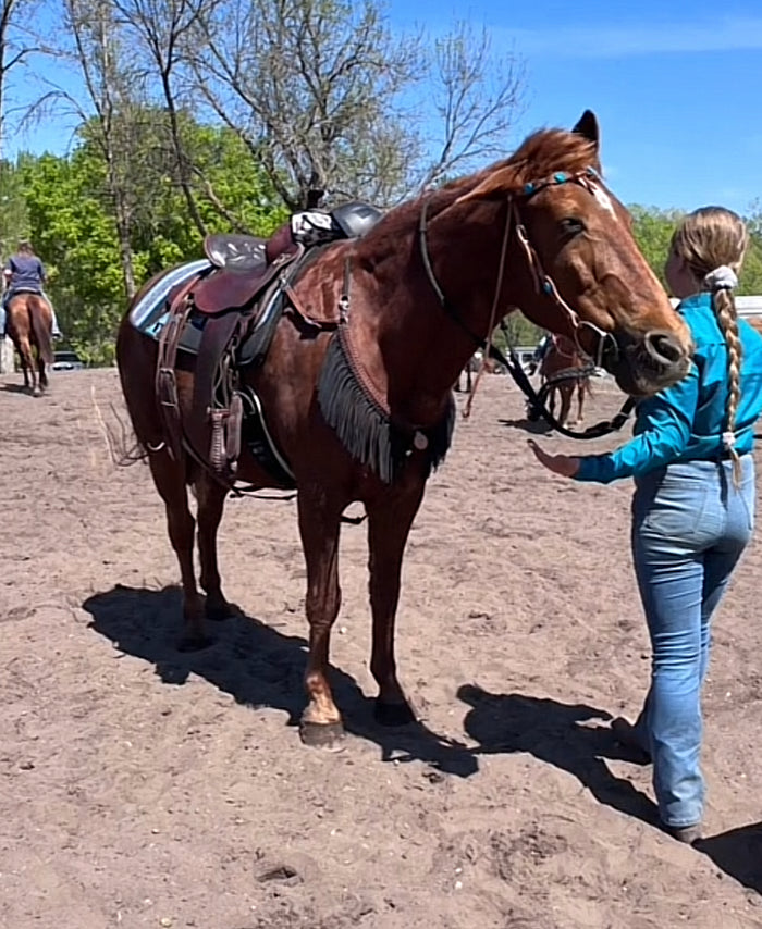 Fringe Breast Collar horse tack set Chocolate brown and Black - Tiffanys Braided Tack LLC