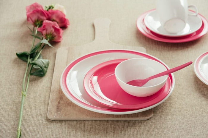 Harfield Duo Polycarbonate Plate 23cm With Solid Colour Rim (024)