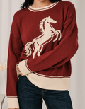 Horse Graphic Contrast Trim Knit Sweater