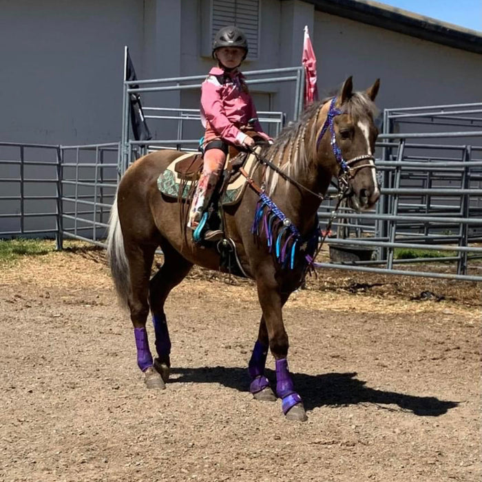 horse mule tape tack set,  (fringe breast collar, wither strap, reins, and bridle) - Tiffanys Braided Tack LLC