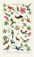 Hummingbirds Tea Towel