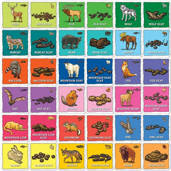 Jr. Ranger Animal Poop Matching Game