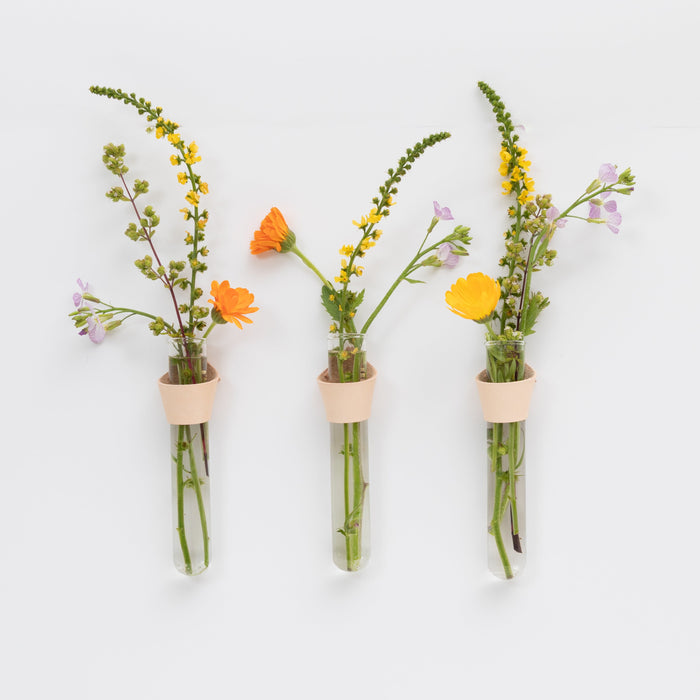 Three glass propagation test tube vases with floral arrangements on a white background