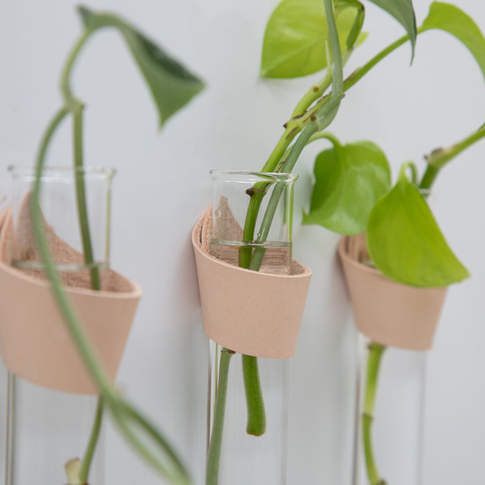 Keyaiira Leather Wall Propagation Station set. Handcrafted vegetable-tanned leather wraps holding glass tubes with plant cuttings. Minimal modern wall decor for indoor plant propagation.