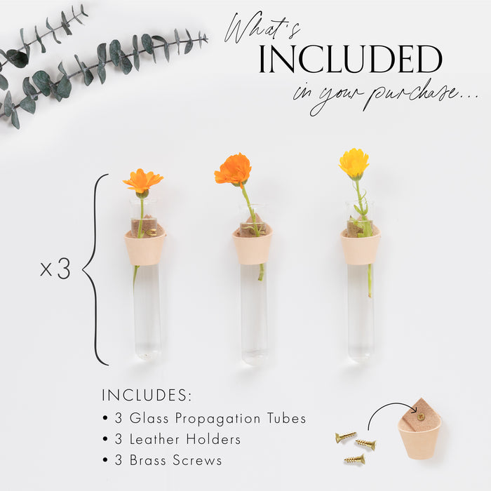 Keyaiira Leather Wall Propagation Station set includes three glass tubes, three handcrafted vegetable-tanned leather holders, and three brass screws. Minimal modern wall decor for indoor plant propagation.