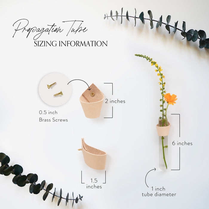 Leather Wall Propagation Tube sizing guide handcrafted  leather holder with glass tube shown with dimensions. Includes 0.5-inch brass screws, 2-inch leather holder, and 6-inch glass tube for modern wall plant propagation decor by Keyaiira.