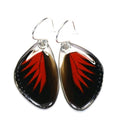 Longwing Butterfly Earrings