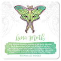 Luna Moth Enamel Pin