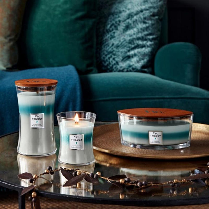 WoodWick Medium Trilogy Soy Candle - Icy Woodland | Koop.co.nz