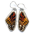 Mexican Silverspot Butterfly Earrings