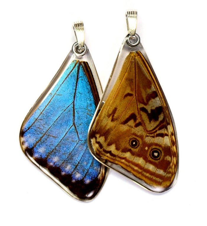 Morpho Butterfly Wing Necklace