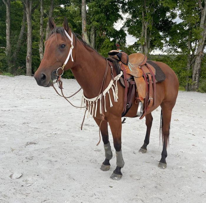 Mule tape horse tripping collar white - Tiffanys Braided Tack LLC