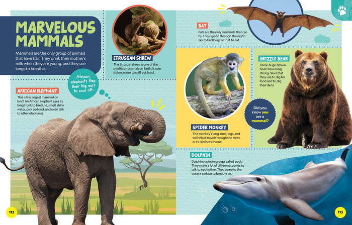 National Geographic Kids: Encyclopedia of Almost Everything