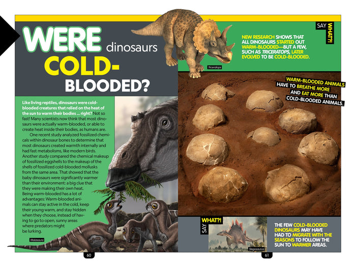 National Geographic Kids: Why Dinosaurs?