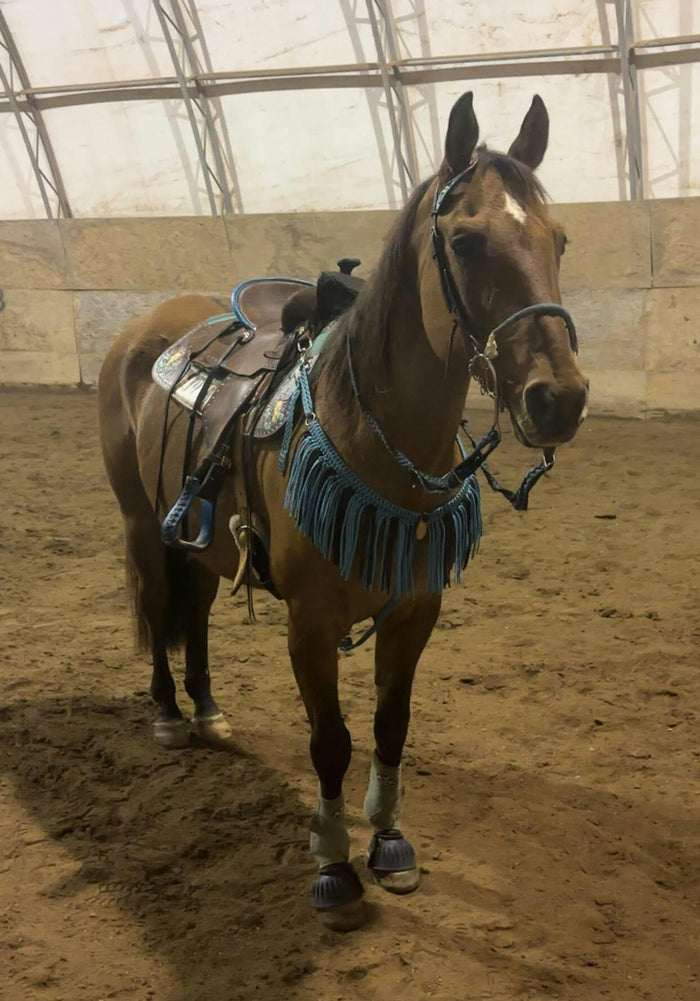 Neon turquoise and black fringe breast collar with a wither strap - Tiffanys Braided Tack LLC